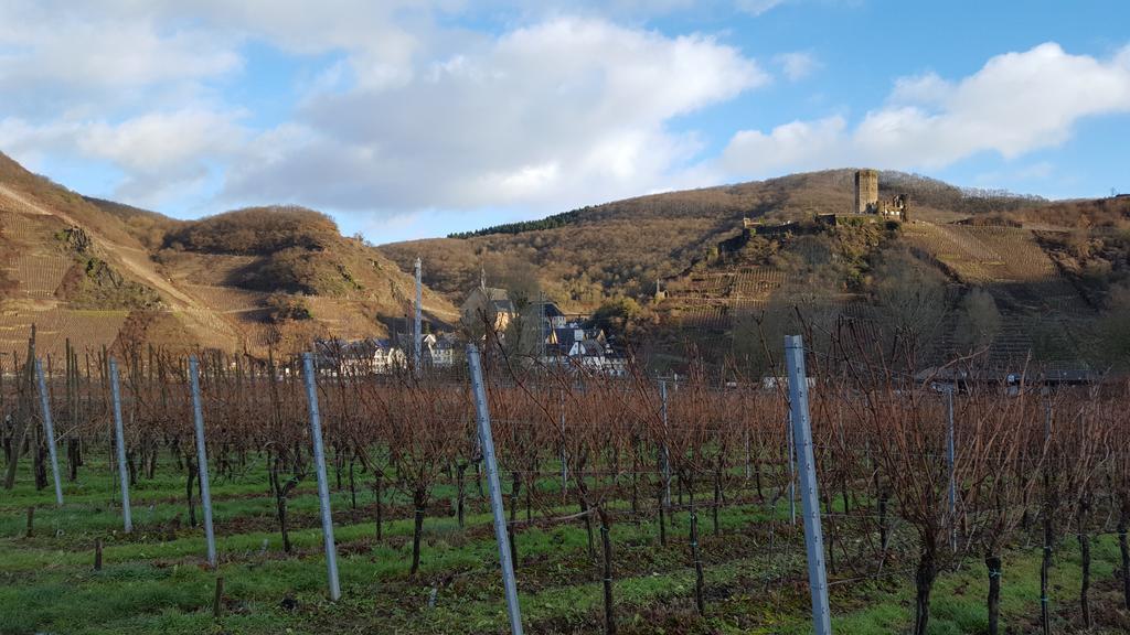 فندق إيلينز-بولتيرسدورففي  Ferienweingut Arnold Fuhrmann & Sohn المظهر الخارجي الصورة